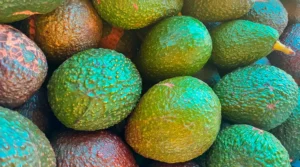 Tour-de-aguacates-Medellin-portada