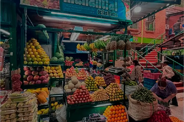 Frutas-Colombianas-ec-tours